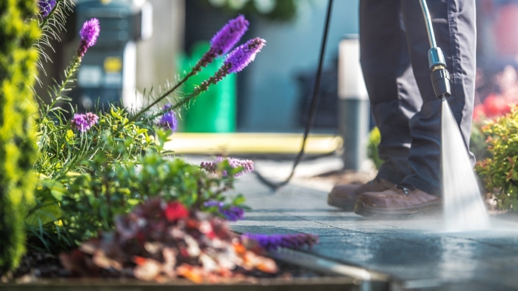 image of someone power-washing a sidewalk next to bright flowers