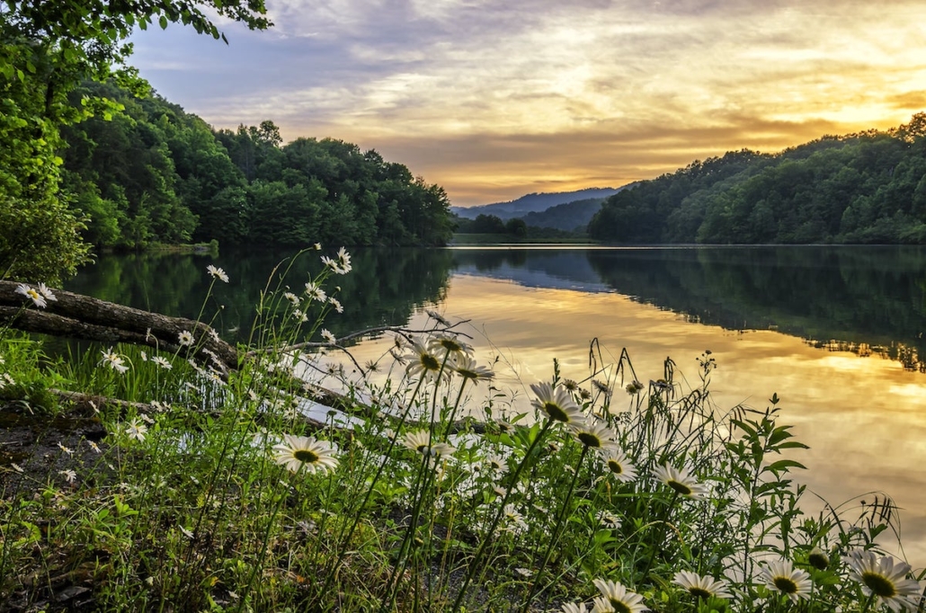 image of the shore of a river in appalachian region of kentucky at sunset